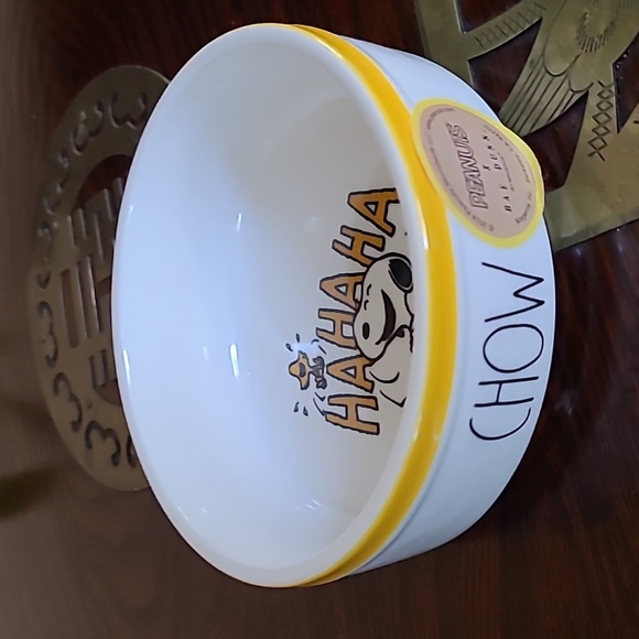 Rae Dunn Other - 🐶Rae Dunn Peanuts Dog Bowl